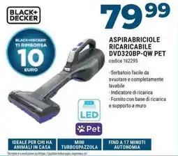 Sinergy BLACK+ DECKER ASPIRABRICIOLE RICARICABILE DVD320BP-QW PET offerta