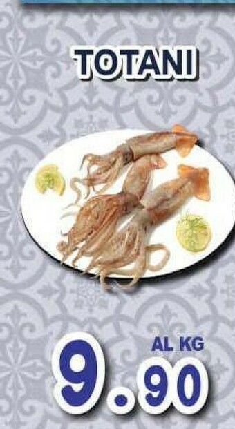 Sacoph Pesce offerta