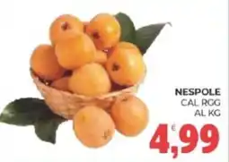 Eté Nespole offerta