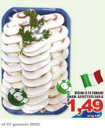 Sacoph Funghi champignon offerta