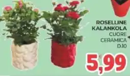 Eté Roselline kalankola cuore ceramica offerta
