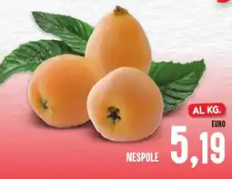Al Discount Nespole offerta