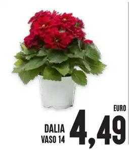 Al Discount Dalia vaso 14 offerta