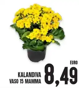 Al Discount Kalandiva vaso 15 mamma offerta