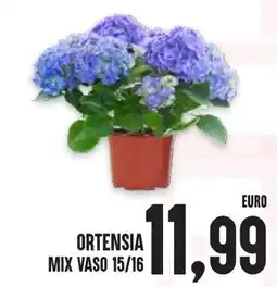 Al Discount Ortensia mix vaso 15/16 offerta