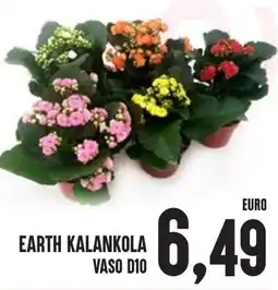 Al Discount Earth kalankola vaso d10 offerta