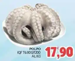 Eté Polpo IQF T6800/1200 offerta