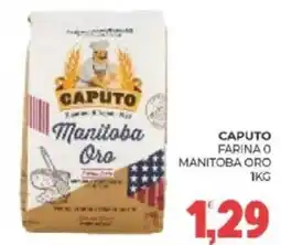 Eté Caputo farina 0 manitoba oro offerta