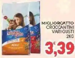 Eté Migliorgatto croccantini offerta