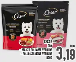 Al Discount Cesar dry offerta