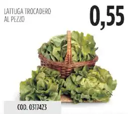 Carico Cash & Carry Lattuga trocadero offerta