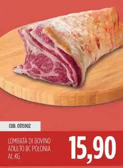 Carico Cash & Carry Lombata di bovino adulto 8c polonia offerta
