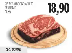 Carico Cash & Carry Rib eye di bovino adulto germania offerta