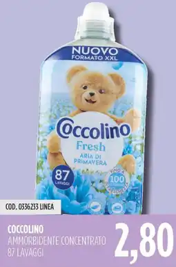 Carico Cash & Carry Coccolino ammorbidente concentrato offerta