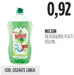 Carico Cash & Carry Nelsen detergente piatti offerta