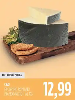 Carico Cash & Carry Cao pecorino romano bianco/nero offerta