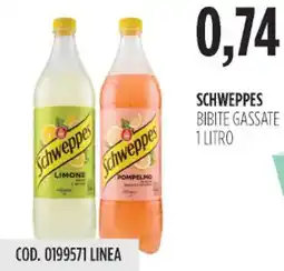 Carico Cash & Carry Schweppes bibite gassate offerta