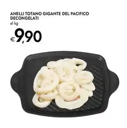Bennet Anelli totano gigante del pacifico decongelati offerta