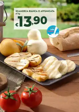 Bennet Scamorza bianca o affumicata offerta