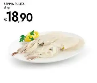Bennet Seppia pulita offerta