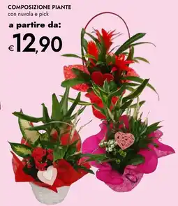 Bennet Composizione piante con nuvola e pick offerta