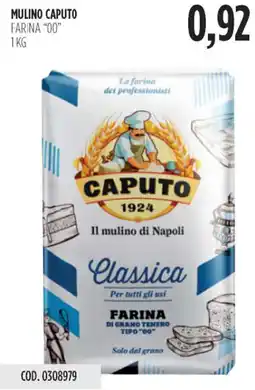 Carico Cash & Carry Mulino caputo farina "00" offerta