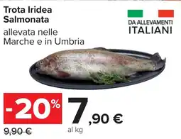 Carrefour Trota Iridea Salmonata offerta