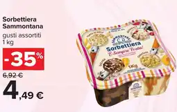 Carrefour Sorbettiera Sammontana offerta