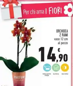 Conad Orchidea 2 Rami offerta