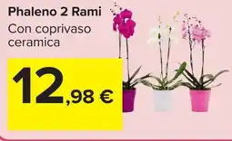 Carrefour Phaleno 2 Rami offerta