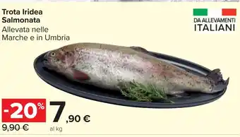 Carrefour Market Trota Iridea Salmonata offerta