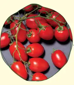 Carrefour Market Pomodoro Piccadilly offerta