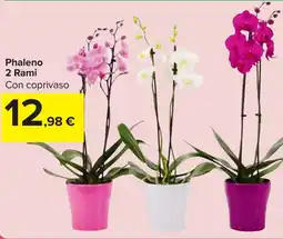 Carrefour Market Phaleno 2 Rami offerta