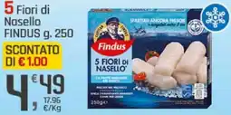 Supermercati Dok 5 Fiori di Nasello FINDUS offerta