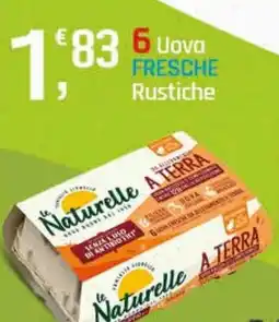 Supermercati Dok 6 Uova FRESCHE Rustiche offerta