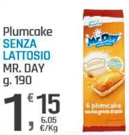 Supermercati Dok Plumcake SENZA LATTOSIO MR. DAY offerta
