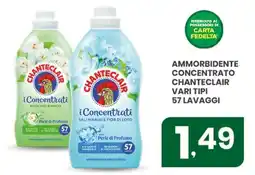 Despar Ammorbidente concentrato CHANTECLAIR offerta