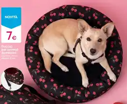Pepco Cuccia per animali domestici offerta