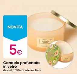 Pepco Candela profumata in vetro offerta