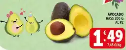 Deco Supermercati Avocado hass offerta