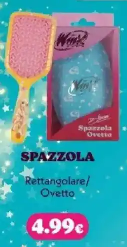 Tigotà SPAZZOLA Rettangolare/ Ovetto offerta