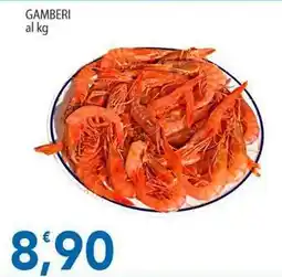 Sidis Gamberi offerta