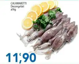 Sidis CALAMARETTI Decongelati offerta