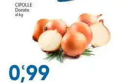 Sidis CIPOLLE Dorate offerta
