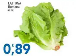 Sidis LATTUGA Romana offerta