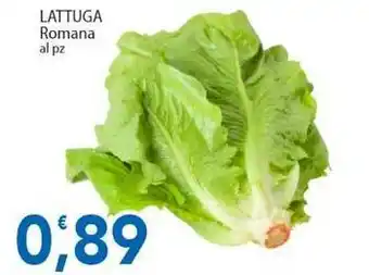 Sidis LATTUGA Romana offerta