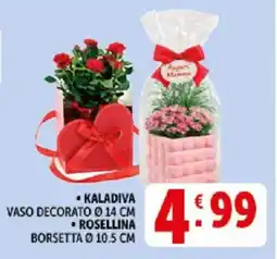 Deco Supermercati Kaladiva vaso decorato rosellina offerta