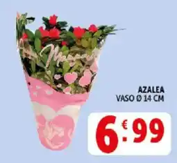 Deco Supermercati Azalea offerta