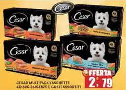 Maury's Cesar multipack vaschette offerta