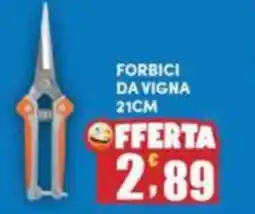 Maury's Forbici da vigna offerta